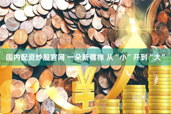 国内配资炒股官网 一朵新疆棉 从“小”开到“大”