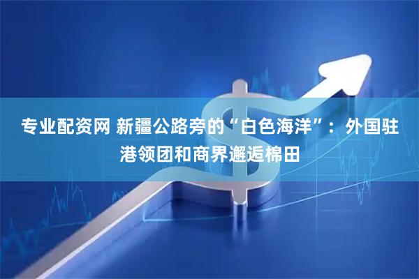 专业配资网 新疆公路旁的“白色海洋”：外国驻港领团和商界邂逅棉田