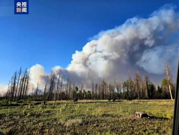 专业配资网 美国大峡谷国家公园附近两处山火失控 周边地区发布疏散令